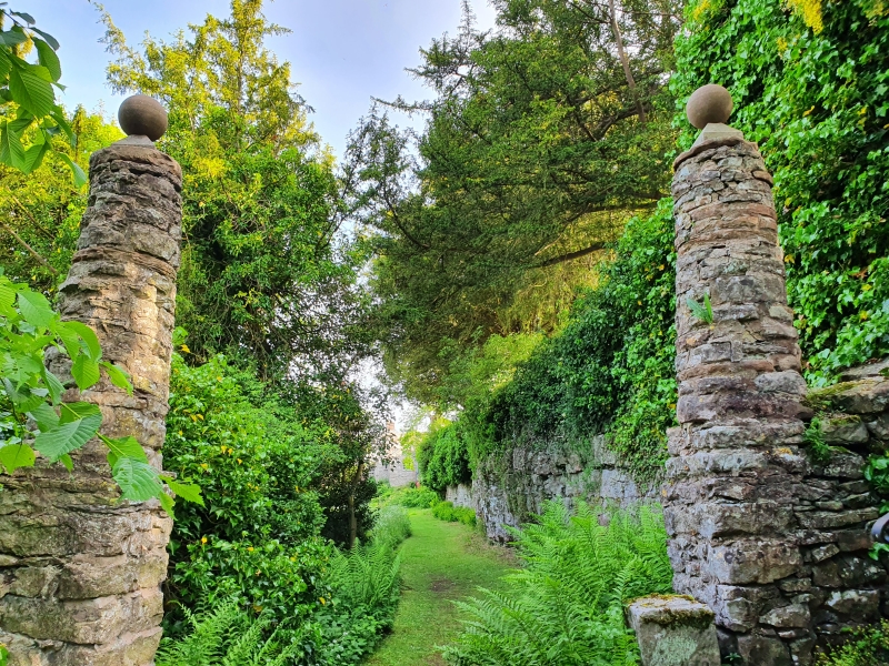 Morland House Gardens